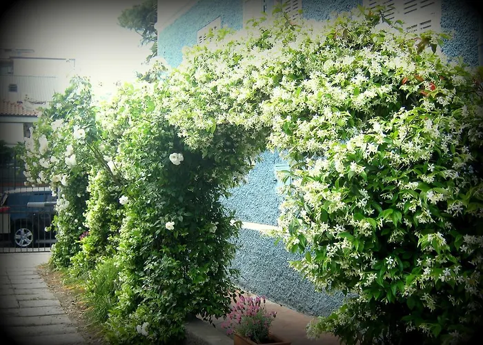 Elisir Bed and Breakfast Αλμπένγκα