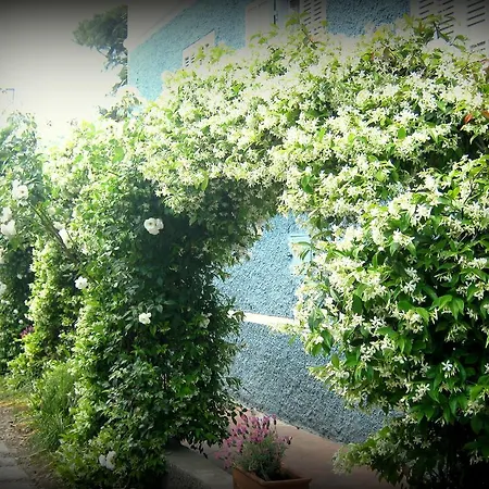 Elisir Bed & Breakfast Albenga