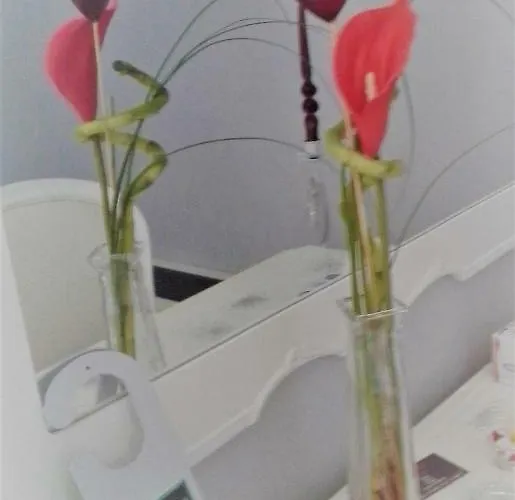 Elisir Oda ve Kahvaltı 4*