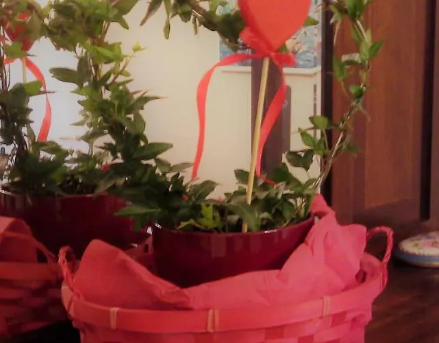 艾丽色住宿加早餐旅馆 4* 阿尔本加